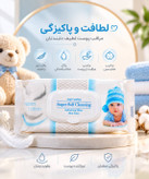 بستهبندی دستمال مرطوب کودک دلفین